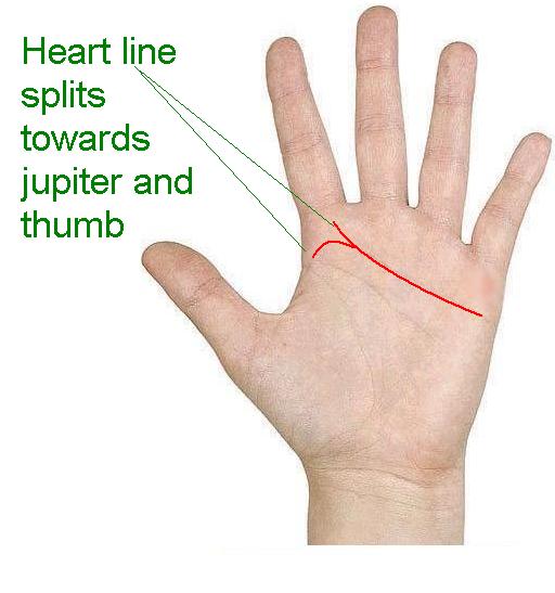 palmistry Know your Future Branches of heart line in jupiter and thumb